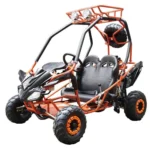 DongFang 125cc Kids Go Karts Type-GTS