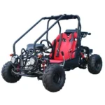 Taotao GK110 Kids Gas Go Kart Dune Buggys. - Image 5