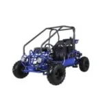 Taotao GK110 Kids Gas Go Kart Dune Buggys. - Image 4