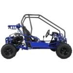 Taotao GK110 Kids Gas Go Kart Dune Buggys. - Image 3