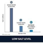 Hayward W3AQR15 AquaRite Salt Chlorination System for In-Ground Pools up to 40,000 Gallons - Image 4